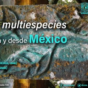 etnografias mutiespecies en y desde mexico